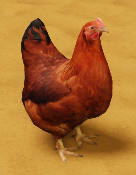 A desrt Chicken item image