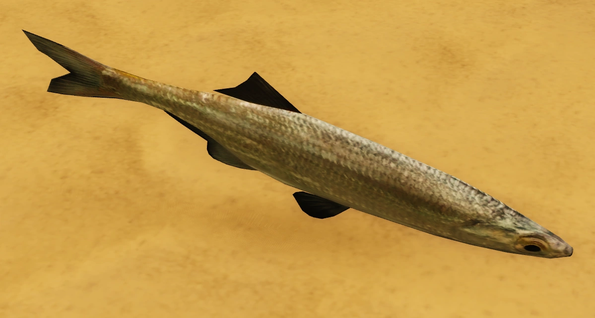 A desrt Fish item image